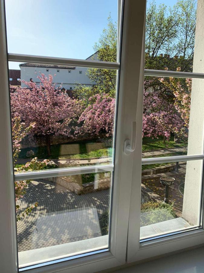 Negy Evszak Apartman- Tapolca Dış mekan fotoğraf